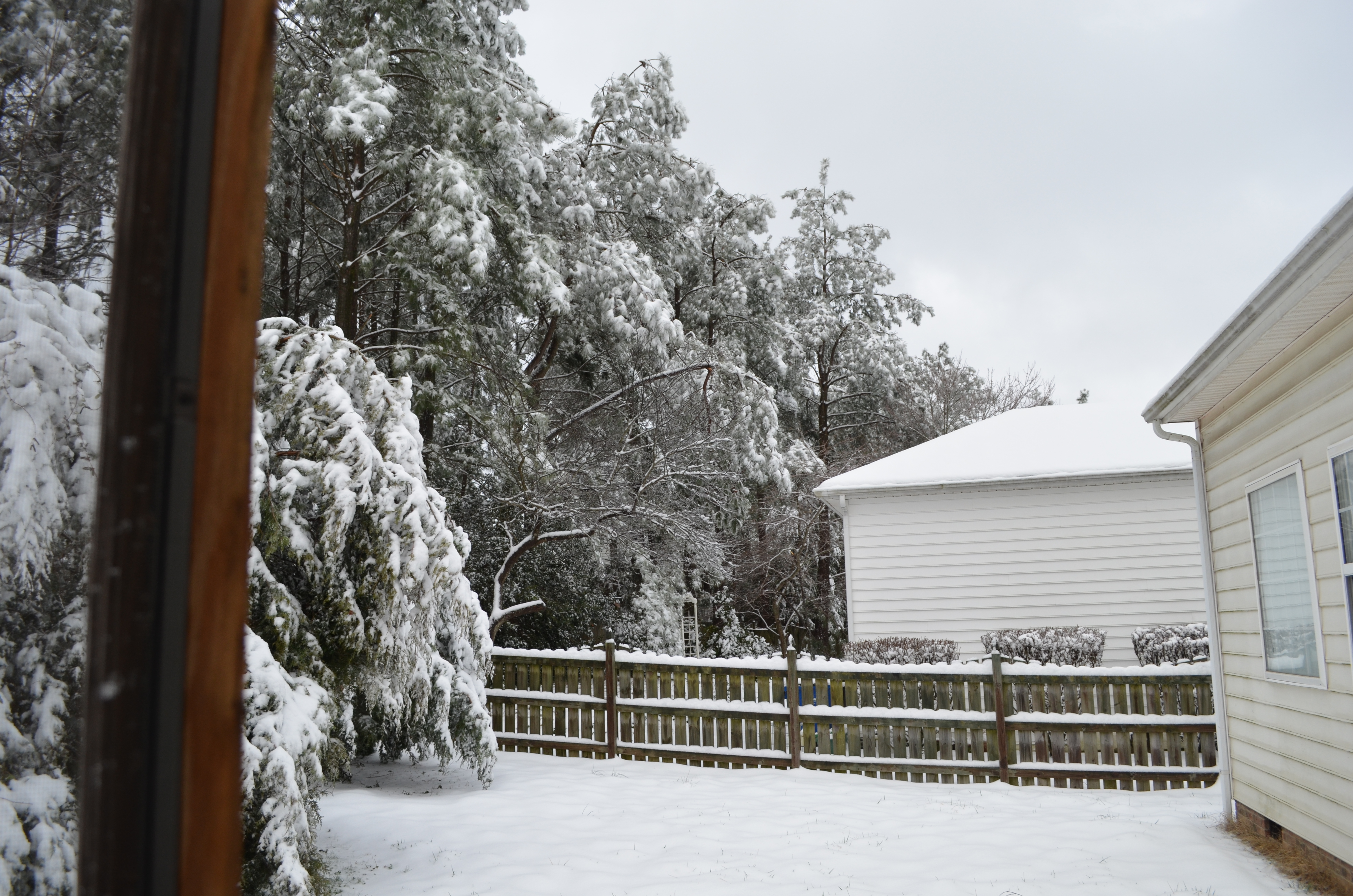 ./2015/03 - Snow/DSC_0419.JPG